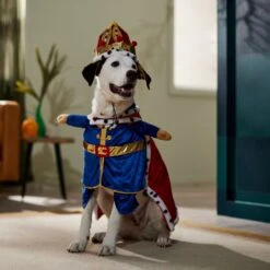 Frisco Front Walking Royal King Dog & Cat Costume 14 Frisco Front Walking Royal King Dog & Cat Costume -Pet Dog Shop 335127 PT7. AC SS1800 V1659037728