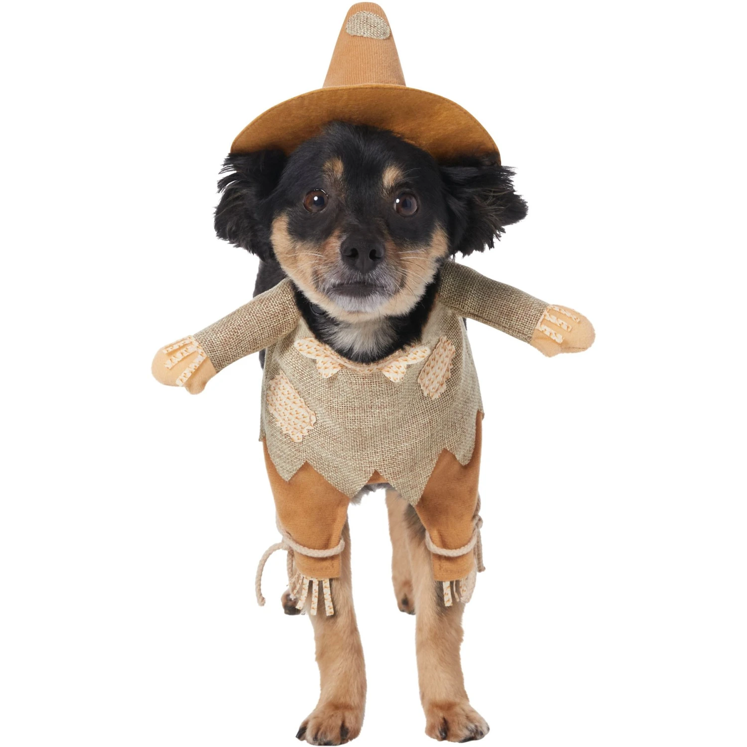 Frisco Front Walking Scarecrow Dog & Cat Costume 1 Frisco Front Walking Scarecrow Dog & Cat Costume