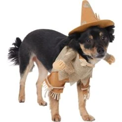 Frisco Front Walking Scarecrow Dog & Cat Costume 11 Frisco Front Walking Scarecrow Dog & Cat Costume -Pet Dog Shop 335135 PT3. AC SS1800 V1658349680