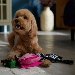 Frisco Halloween Flamingo Plush Squeaky Dog Toy 6 Frisco Halloween Flamingo Plush Squeaky Dog Toy -Pet Dog Shop 344123 PT3. AC SS1800 V1657657035