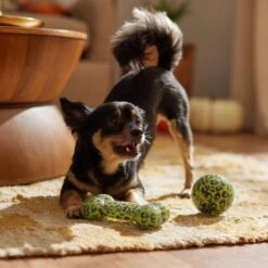 Frisco Halloween Glow In The Dark TPR Squeaky Bone & Ball Dog Toy 9 Frisco Halloween Glow In The Dark TPR Squeaky Bone & Ball Dog Toy -Pet Dog Shop 344130 PT3. AC SS1800 V1657657042