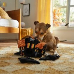 Frisco Halloween Haunted House Hide & Seek Puzzle Plush Squeaky Dog Toy -Pet Dog Shop 344136 PT3. AC SS1800 V1657657042