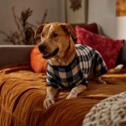 Frisco Plaid Dog & Cat Fleece Pajamas -Pet Dog Shop 353755 PT6. AC SS1800 V1660749967