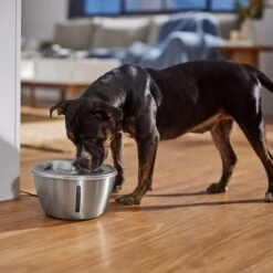 Frisco Stainless Steel Heart Dog & Cat Fountain 12 Frisco Stainless Steel Heart Dog & Cat Fountain -Pet Dog Shop 355816 PT5. AC SS1800 V1665684540