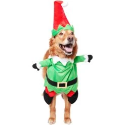 Frisco Front Walking Elf Dog & Cat Costume 12 Frisco Front Walking Elf Dog & Cat Costume -Pet Dog Shop 357956 PT3. AC SS1800 V1660760416
