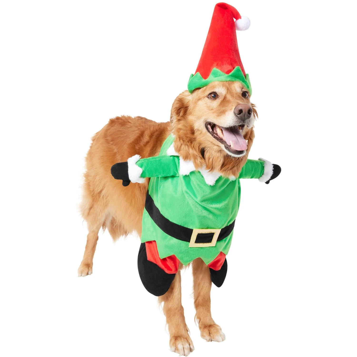 Frisco Front Walking Elf Dog & Cat Costume 5 Frisco Front Walking Elf Dog & Cat Costume - Image 5