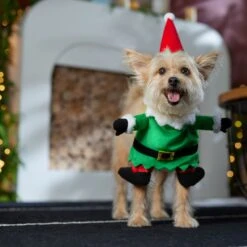 Frisco Front Walking Elf Dog & Cat Costume 16 Frisco Front Walking Elf Dog & Cat Costume -Pet Dog Shop 357956 PT7. AC SS1800 V1661799329