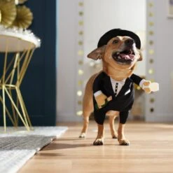 Frisco Front Walking New Years Tuxedo Dog & Cat Costume 16 Frisco Front Walking New Years Tuxedo Dog & Cat Costume -Pet Dog Shop 358028 PT7. AC SS1800 V1661799888