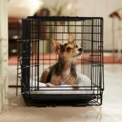 Frisco Adjustable Electrical Dog & Cat Heated Crate Mat With Timer -Pet Dog Shop 358546 PT5. AC SS1800 V1662500981