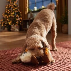 Frisco Holiday Festive Owl Plush Squeaky Dog Toy 6 Frisco Holiday Festive Owl Plush Squeaky Dog Toy -Pet Dog Shop 360919 PT3. AC SS1800 V1661874361