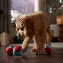 Frisco Holiday Ho Ho Ho Fetch Squeaky Tennis Ball Dog Toy 7 Frisco Holiday Ho Ho Ho Fetch Squeaky Tennis Ball Dog Toy -Pet Dog Shop 360952 PT3. AC SS1800 V1661874421