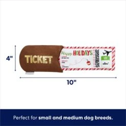 Frisco Holiday Home For The Holidays Airline Ticket Bungee Plush Squeaky Dog Toy -Pet Dog Shop 360966 PT1. AC SS1800 V1695047244