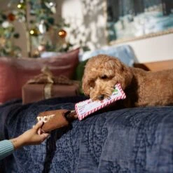 Frisco Holiday Home For The Holidays Airline Ticket Bungee Plush Squeaky Dog Toy -Pet Dog Shop 360966 PT3. AC SS1800 V1661874362