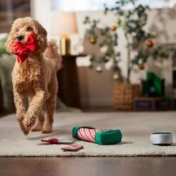 Frisco Holiday Gift Wrapping Set Plush Squeaky Dog Toy -Pet Dog Shop 360968 PT3. AC SS1800 V1661874420