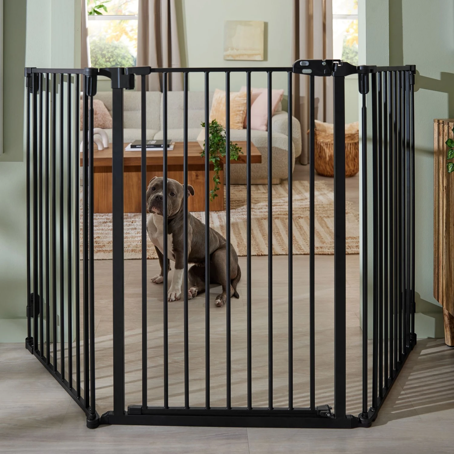 Frisco Steel 3-Panel Configurable Gate, 41-in Height 4 Frisco Steel 3-Panel Configurable Gate, 41-in Height - Image 4