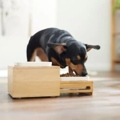 Frisco Elevated Non-Skid Bamboo Melamine Bowl Double Diner With Bamboo Stand -Pet Dog Shop 363385 PT5. AC SS1800 V1657657267