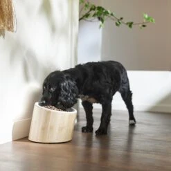 Frisco Elevated Slanted Bamboo Melamine Non-Skid Dog Bowl With Bamboo Stand -Pet Dog Shop 363387 PT2. AC SS1800 V1657657267