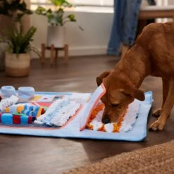 Frisco Vending Machine Snuffle Mat, Blue, Large -Pet Dog Shop 363397 PT2. AC SS1800 V1660750518