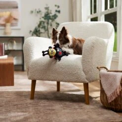 Frisco Valentine Jammin' Ladybug Plush Squeaky Dog Toy -Pet Dog Shop 371083 PT3. AC SS1800 V1668737455