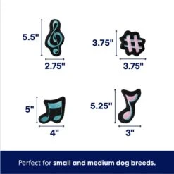 Frisco Valentine Love Song Record Player Hide & Seek Puzzle Plush Squeaky Dog Toy -Pet Dog Shop 371087 PT2. AC SS1800 V1701364927