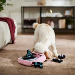 Frisco Valentine Love Song Record Player Hide & Seek Puzzle Plush Squeaky Dog Toy -Pet Dog Shop 371087 PT3. AC SS1800 V1668737233