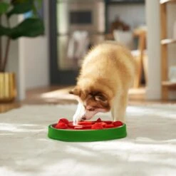 Frisco Watermelon Interactive Puzzle Dog Toy, Advanced 12 Frisco Watermelon Interactive Puzzle Dog Toy, Advanced -Pet Dog Shop 506322 PT5. AC SS1800 V1674667034