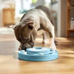 Frisco Two Tier Interactive Puzzle Dog Toy, Easy 12 Frisco Two Tier Interactive Puzzle Dog Toy, Easy -Pet Dog Shop 506370 PT5. AC SS1800 V1674671566