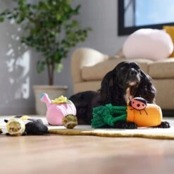 Frisco Spring Plush & Rope Variety Pack Squeaky Dog Toy 8 Frisco Spring Plush & Rope Variety Pack Squeaky Dog Toy -Pet Dog Shop 541526 PT4. AC SS1800 V1702500565