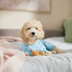 Frisco Blue Ocean Waves Dog & Cat Jersey PJs 10 Frisco Blue Ocean Waves Dog & Cat Jersey PJs -Pet Dog Shop 556142 PT5. AC SS1800 V1674828705