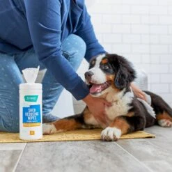 FURminator Long Hair Dog Deshedding Tool & Frisco Shed Reducing Waterless Grooming Wipes For Dogs & Cats, 50 Count -Pet Dog Shop 575134 PT6. AC SS1800 V1657660396