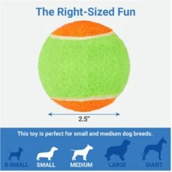 Frisco Dumbbell TPR Fetch Dog Toy + 3 Items -Pet Dog Shop 582446 PT6. AC SS1800 V1658238980