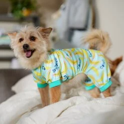 Frisco Go Bananas Dog & Cat Jersey PJs -Pet Dog Shop 608998 PT6. AC SS1800 V1676642341