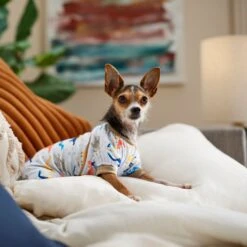 Frisco Dinosaur Dog & Cat Jersey PJs 10 Frisco Dinosaur Dog & Cat Jersey PJs -Pet Dog Shop 609062 PT6. AC SS1800 V1676643314