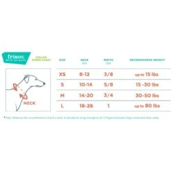 Frisco Solid Nylon Dog Leash + 4 Items -Pet Dog Shop 623766 PT6. AC SS1800 V1662739135