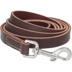 Frisco Top Grain Leather Leash + 4 Items 12 Frisco Top Grain Leather Leash + 4 Items -Pet Dog Shop 630958 PT3. AC SS1800 V1662739527