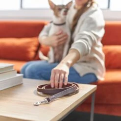 Frisco Top Grain Leather Leash + 4 Items 13 Frisco Top Grain Leather Leash + 4 Items -Pet Dog Shop 630958 PT4. AC SS1800 V1662742186