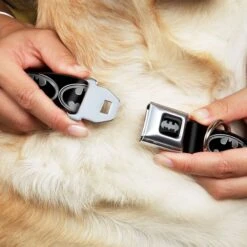 Frisco Bat Wings Dog & Cat Costume & Buckle-Down Batman Shield Polyester Dog Collar -Pet Dog Shop 638566 PT6. AC SS1800 V1663254111