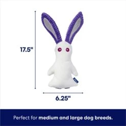 Frisco Halloween Bunny Ghost Plush Squeaky Dog Toy 6 Frisco Halloween Bunny Ghost Plush Squeaky Dog Toy -Pet Dog Shop 667878 PT1. AC SS1800 V1689271353
