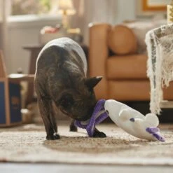 Frisco Halloween Bunny Ghost Plush Squeaky Dog Toy 8 Frisco Halloween Bunny Ghost Plush Squeaky Dog Toy -Pet Dog Shop 667878 PT3. AC SS1800 V1689340856