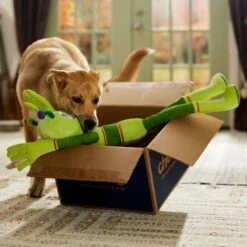 Frisco Halloween Alien Wagazoo Plush Squeaky Dog Toy, Extra Long 8 Frisco Halloween Alien Wagazoo Plush Squeaky Dog Toy, Extra Long -Pet Dog Shop 668134 PT3. AC SS1800 V1689282428