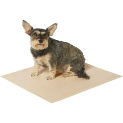 Frisco Large Eco-Conscious Dog Training & Potty Pads & American Journey Peanut Butter Recipe Grain-Free Oven Baked Crunchy Biscuit Dog Treats -Pet Dog Shop 678574 PT3. AC SS1800 V1667863365