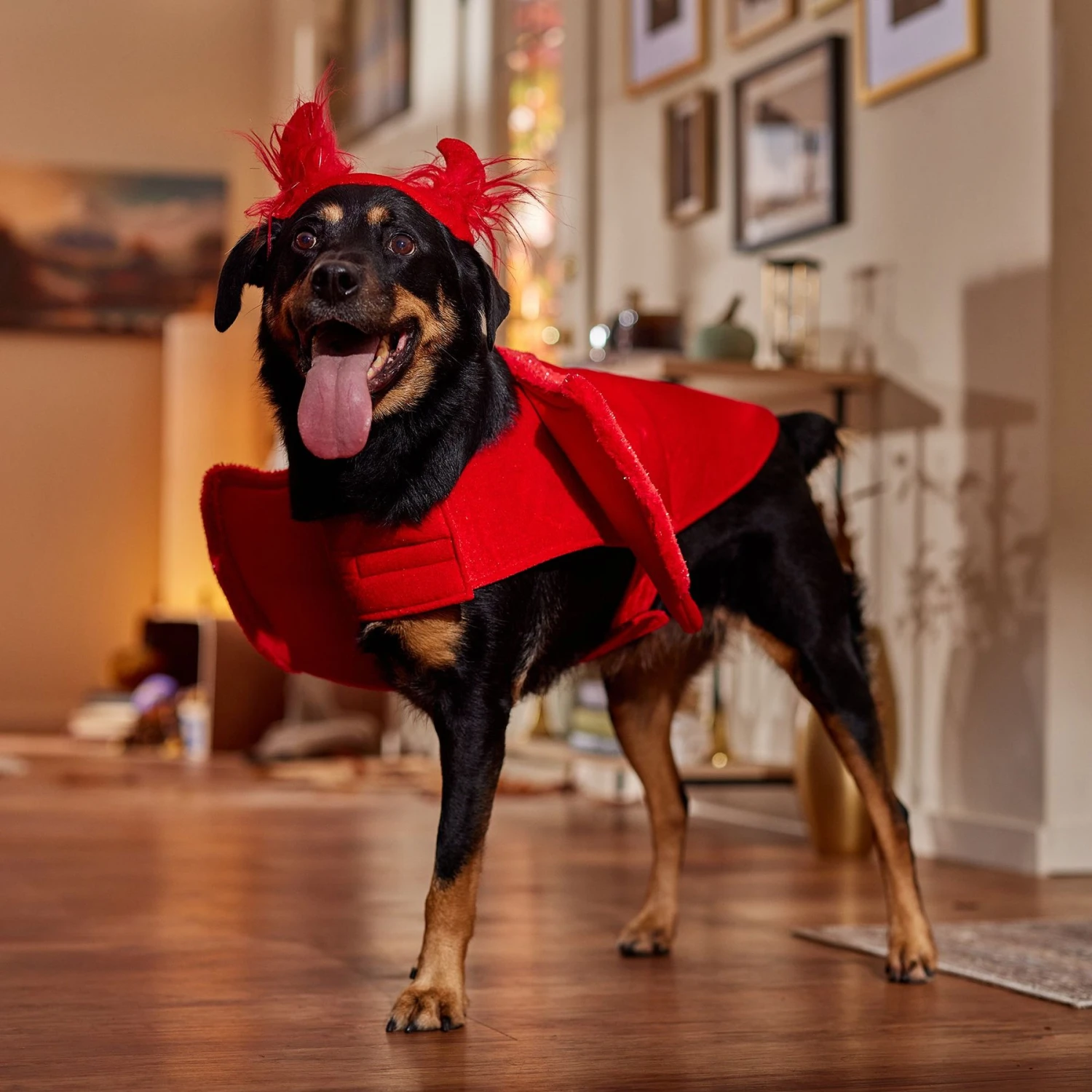 Frisco My Little Devil Dog & Cat Costume Accessory 7 Frisco My Little Devil Dog & Cat Costume Accessory - Image 7