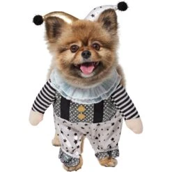 Frisco Front Walking Glitter Clown Dog & Cat Costume 11 Frisco Front Walking Glitter Clown Dog & Cat Costume -Pet Dog Shop 707542 PT2. AC SS1800 V1689351699