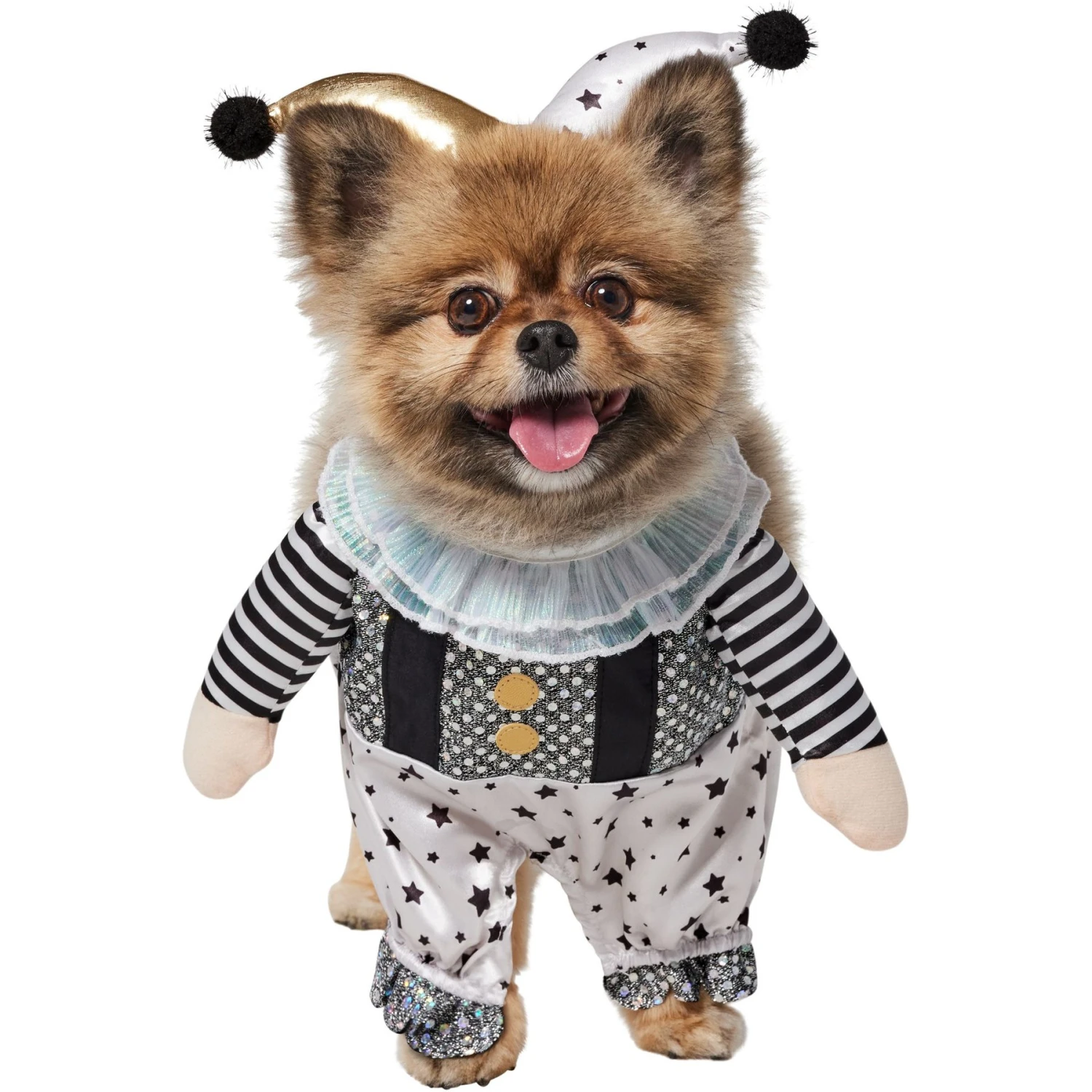 Frisco Front Walking Glitter Clown Dog & Cat Costume 3 Frisco Front Walking Glitter Clown Dog & Cat Costume - Image 3