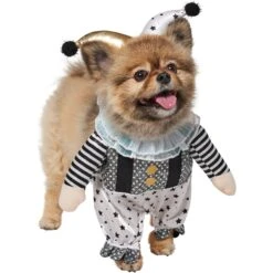 Frisco Front Walking Glitter Clown Dog & Cat Costume 12 Frisco Front Walking Glitter Clown Dog & Cat Costume -Pet Dog Shop 707542 PT3. AC SS1800 V1689278296