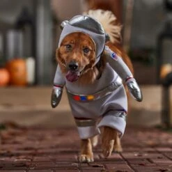 Frisco Front Walking LED Astronaut Dog & Cat Costume 14 Frisco Front Walking LED Astronaut Dog & Cat Costume -Pet Dog Shop 707630 PT7. AC SS1800 V1689278700