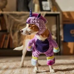 Frisco Front Walking Unicorn Dog & Cat Costume -Pet Dog Shop 707678 PT7. AC SS1800 V1689355019