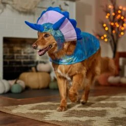 Frisco Dinosaur Dog & Cat Costume 12 Frisco Dinosaur Dog & Cat Costume -Pet Dog Shop 707894 PT7. AC SS1800 V1689350593