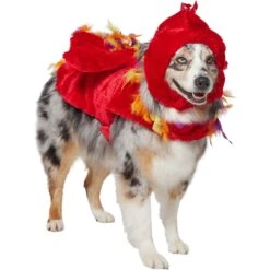 Frisco Flying Phoenix Dog & Cat Costume 10 Frisco Flying Phoenix Dog & Cat Costume -Pet Dog Shop 708150 PT3. AC SS1800 V1691084928