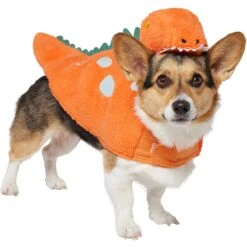 Frisco Furry Dinosaur Dog & Cat Costume